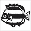One Piece Eiichirooda